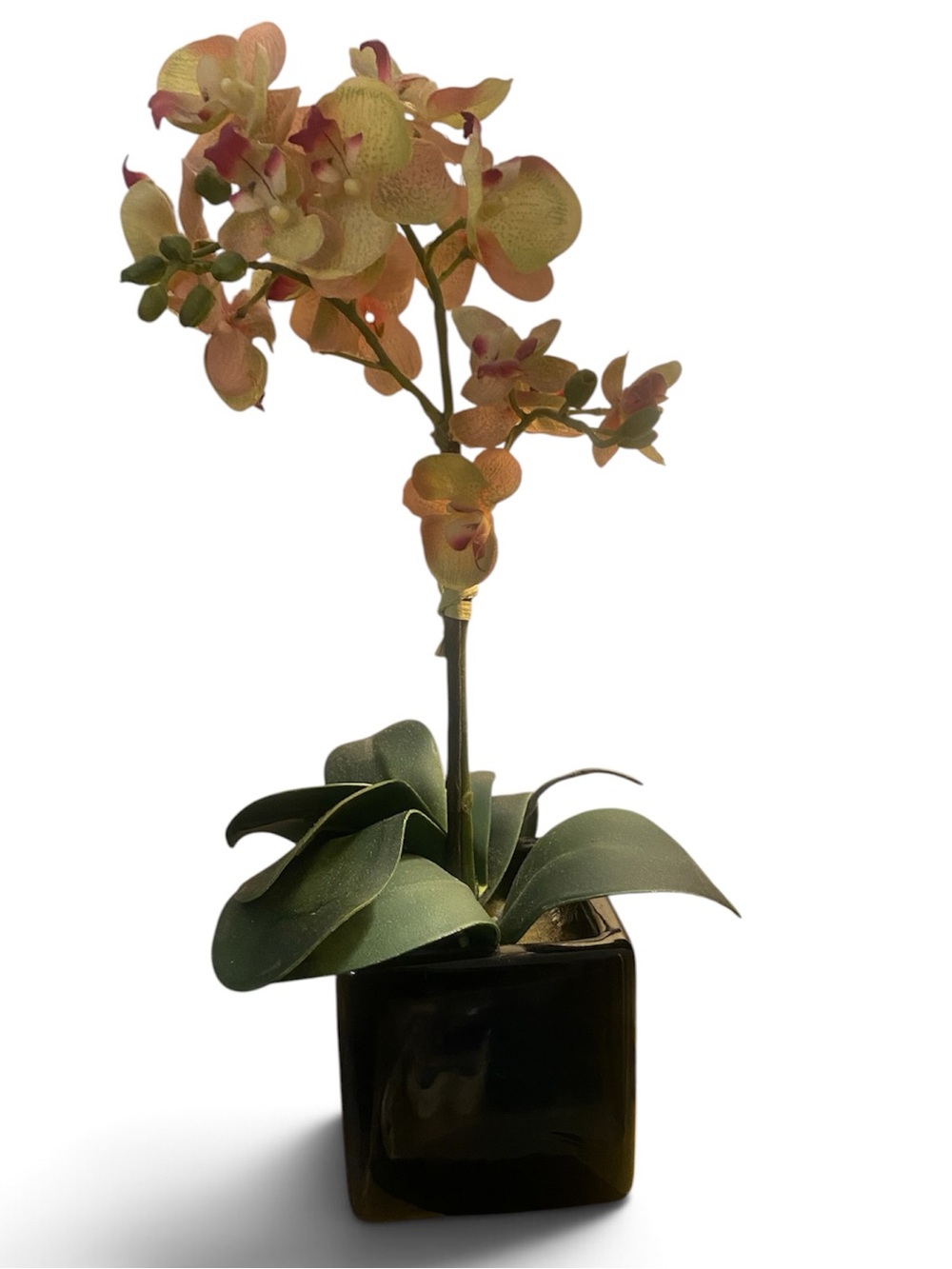 Artificial Orchid Plant Black Pot Yellow Pink Cream Green Fake faux flower